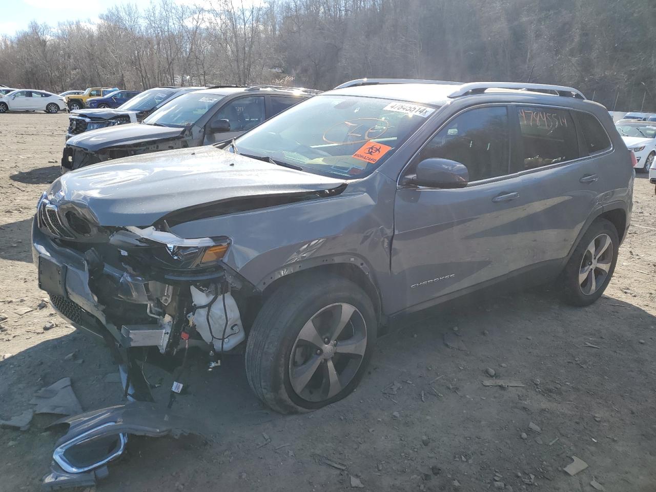 JEEP CHEROKEE 2019 1c4pjmdx4kd391367