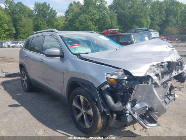 JEEP CHEROKEE 2019 1c4pjmdx4kd399260