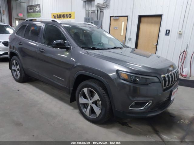 JEEP CHEROKEE 2019 1c4pjmdx4kd459103