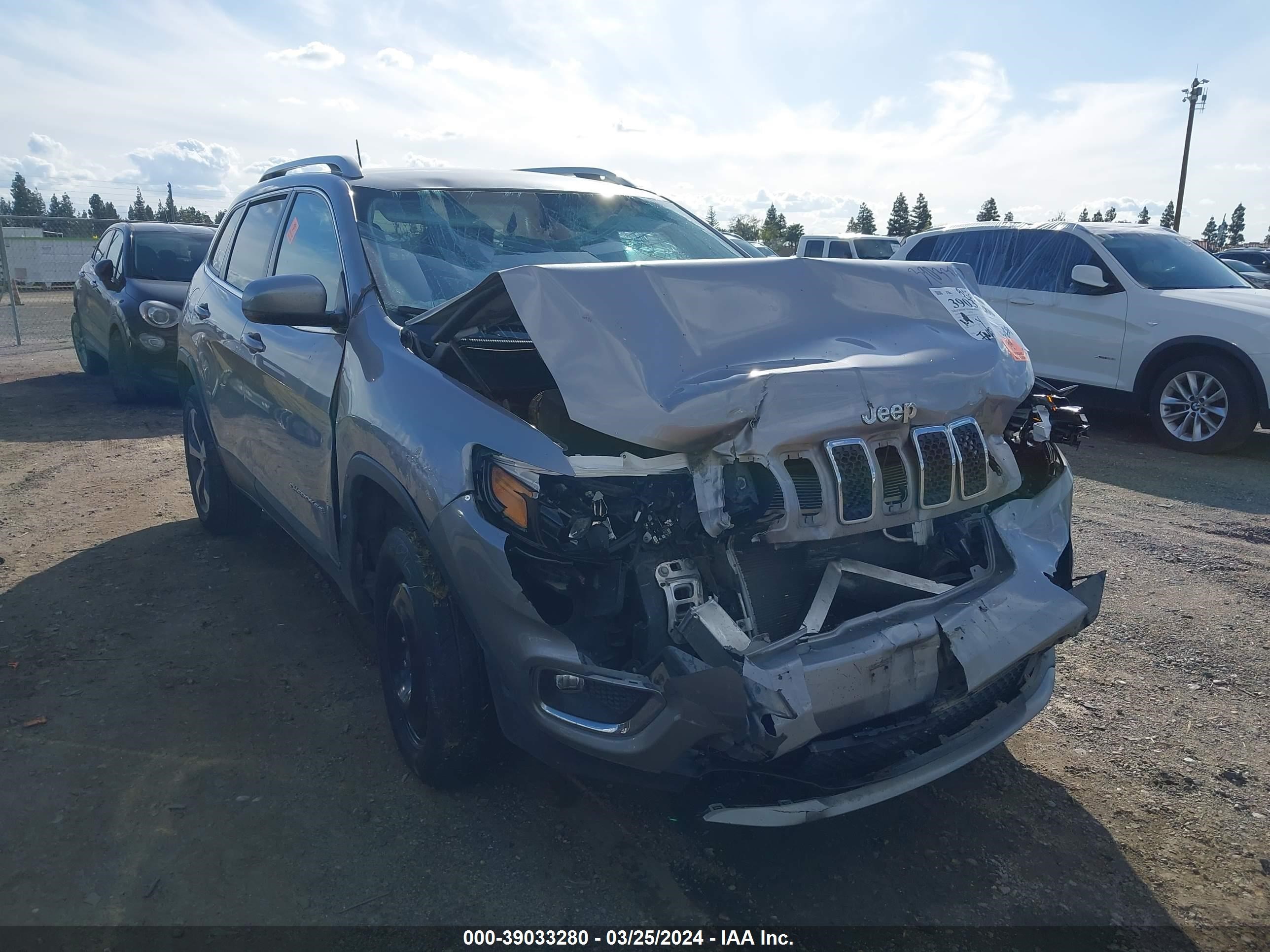 JEEP CHEROKEE 2019 1c4pjmdx4kd467895