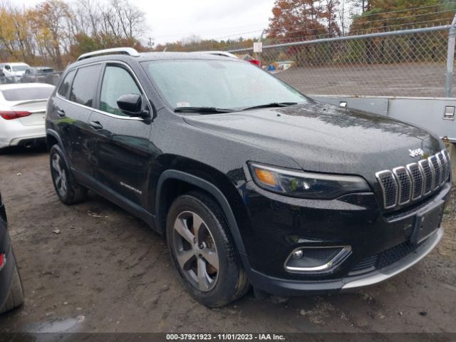 JEEP CHEROKEE 2019 1c4pjmdx4kd470358