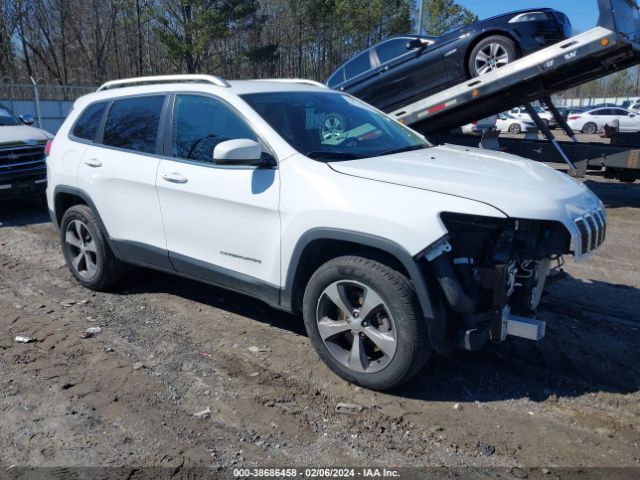 JEEP CHEROKEE 2019 1c4pjmdx4ld520483