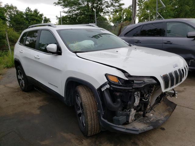 JEEP CHEROKEE 2020 1c4pjmdx4ld550101