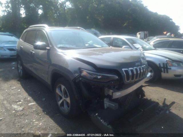 JEEP CHEROKEE 2021 1c4pjmdx4md154378