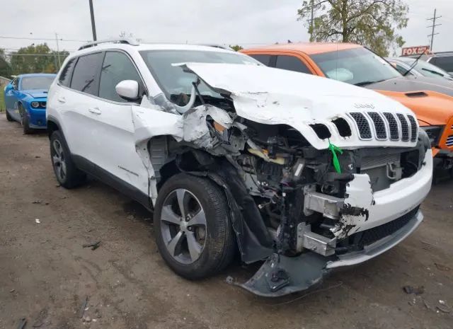 JEEP CHEROKEE 2019 1c4pjmdx5kd341545