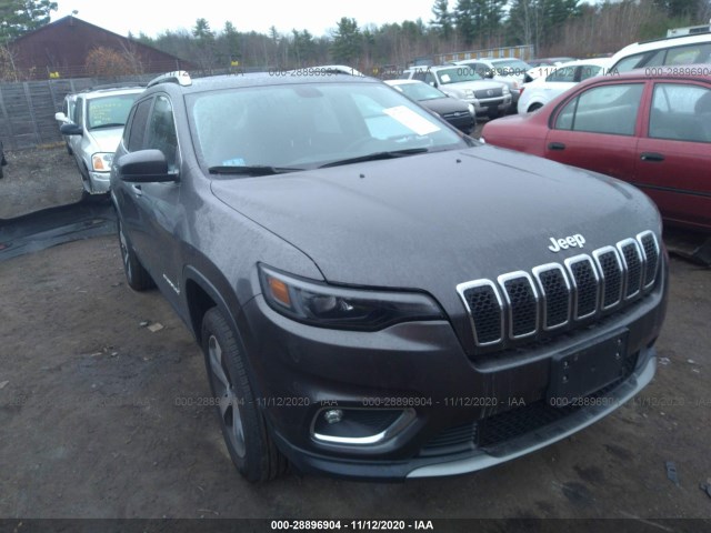 JEEP CHEROKEE 2019 1c4pjmdx5kd353002