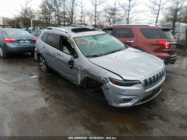 JEEP CHEROKEE 2019 1c4pjmdx5kd426921