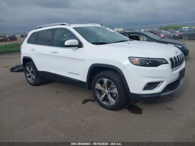 JEEP CHEROKEE 2019 1c4pjmdx5kd456632