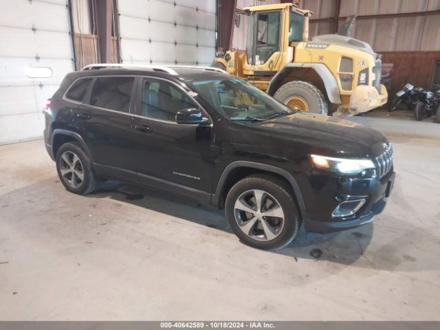 JEEP CHEROKEE 2019 1c4pjmdx5kd464407