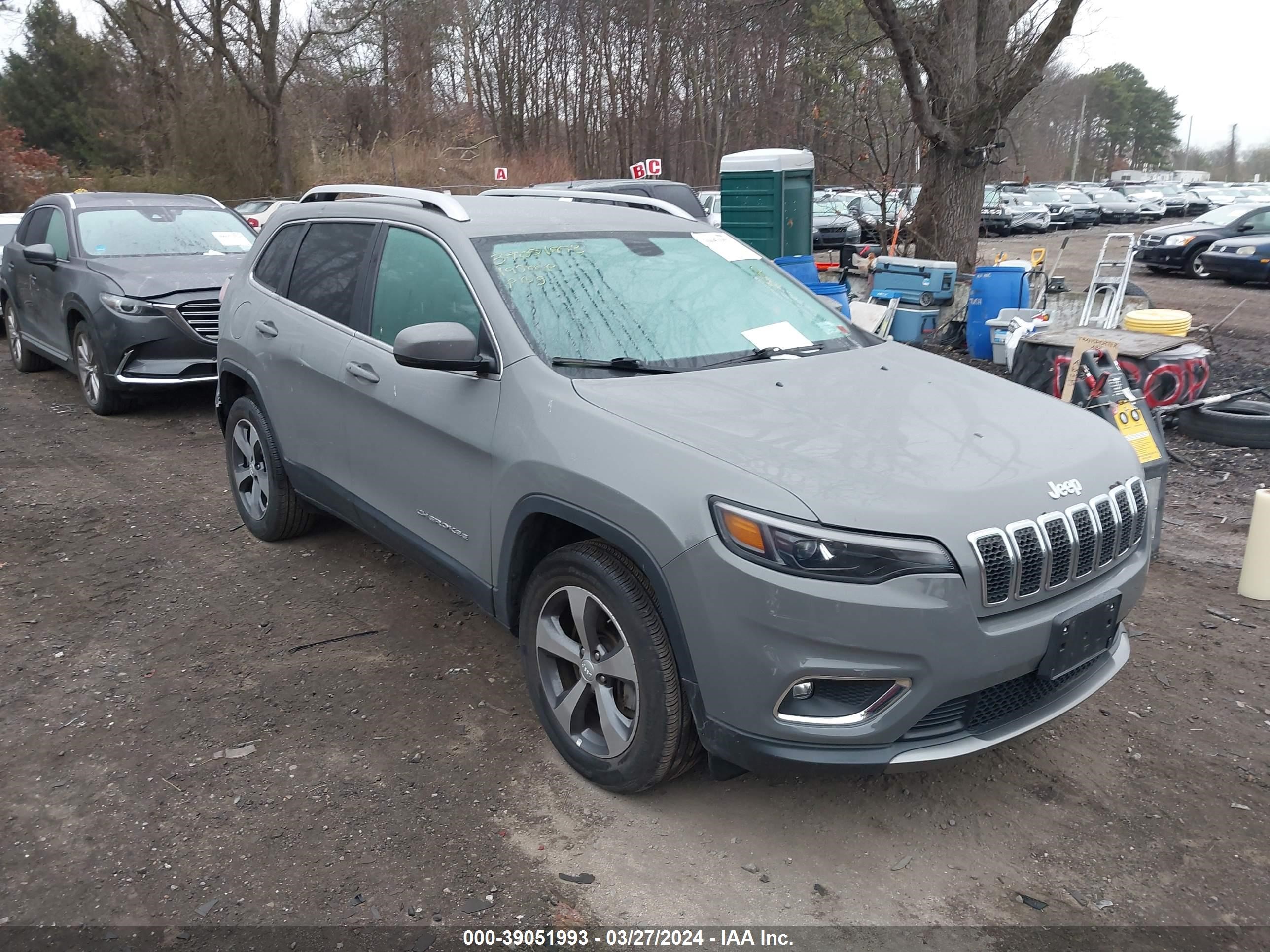 JEEP CHEROKEE 2019 1c4pjmdx5kd491431