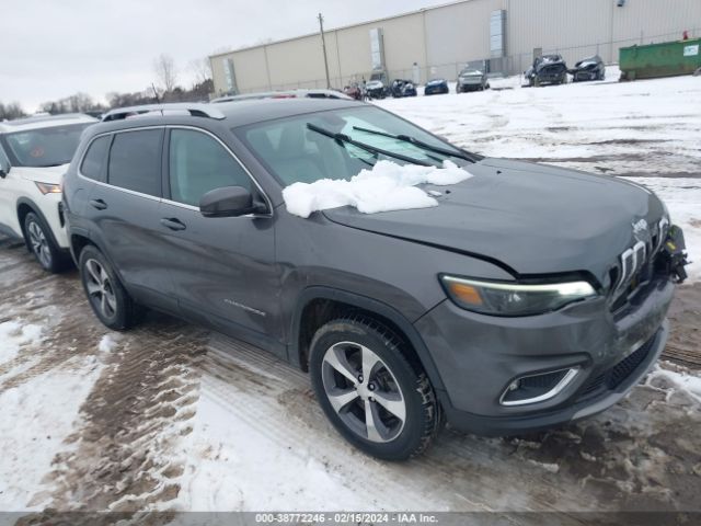 JEEP CHEROKEE 2019 1c4pjmdx6kd208003