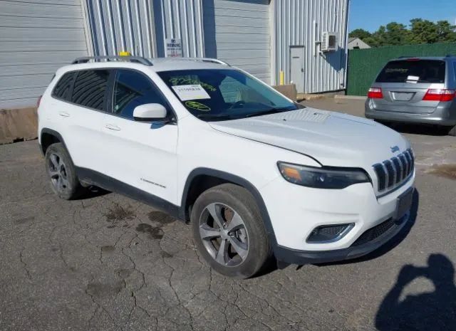 JEEP CHEROKEE 2019 1c4pjmdx6kd341926