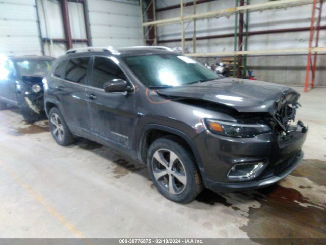 JEEP CHEROKEE 2019 1c4pjmdx6kd345247