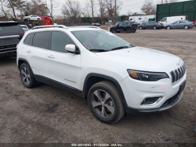 JEEP CHEROKEE 2019 1c4pjmdx6kd391497