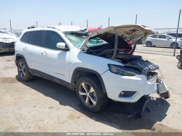 JEEP CHEROKEE 2019 1c4pjmdx6kd440777