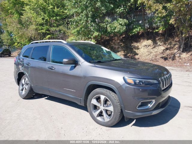 JEEP CHEROKEE 2019 1c4pjmdx6kd472953