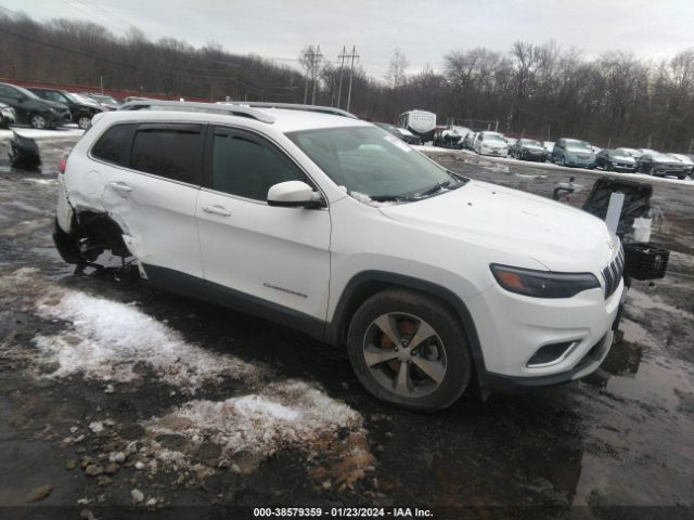 JEEP CHEROKEE 2019 1c4pjmdx7kd322866