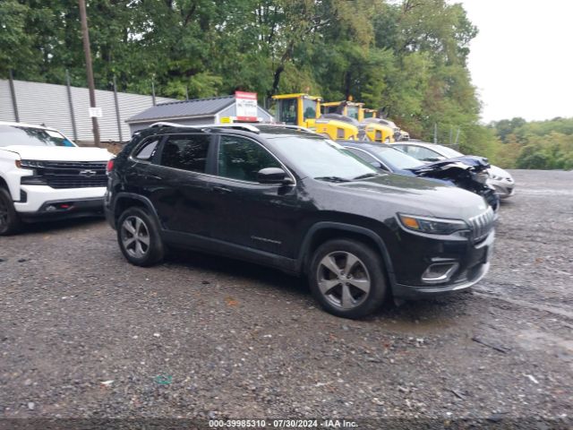 JEEP CHEROKEE 2019 1c4pjmdx7kd448810