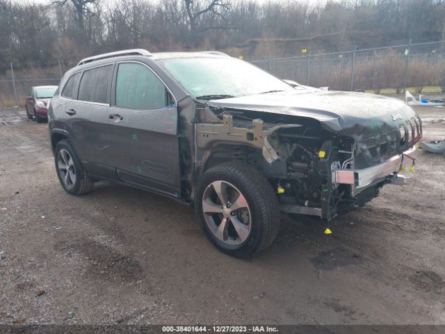 JEEP CHEROKEE 2019 1c4pjmdx7kd457359