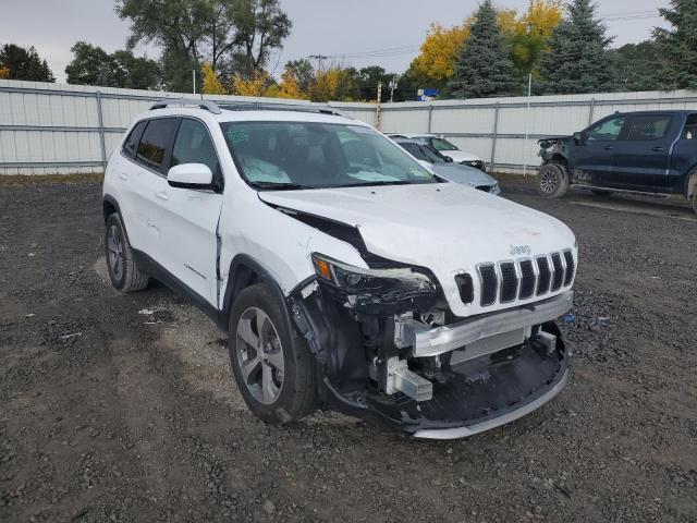 JEEP CHEROKEE L 2019 1c4pjmdx7kd491706