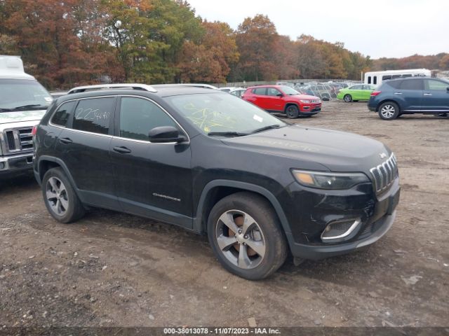 JEEP CHEROKEE 2019 1c4pjmdx8kd113989