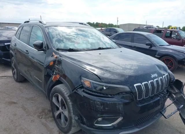 JEEP CHEROKEE 2019 1c4pjmdx8kd235641