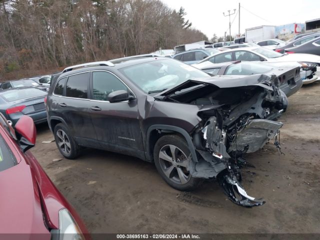 JEEP CHEROKEE 2019 1c4pjmdx8kd257266