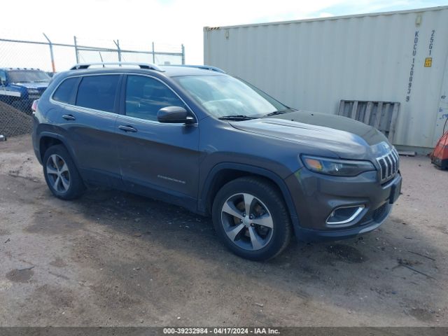 JEEP CHEROKEE 2019 1c4pjmdx8kd419039