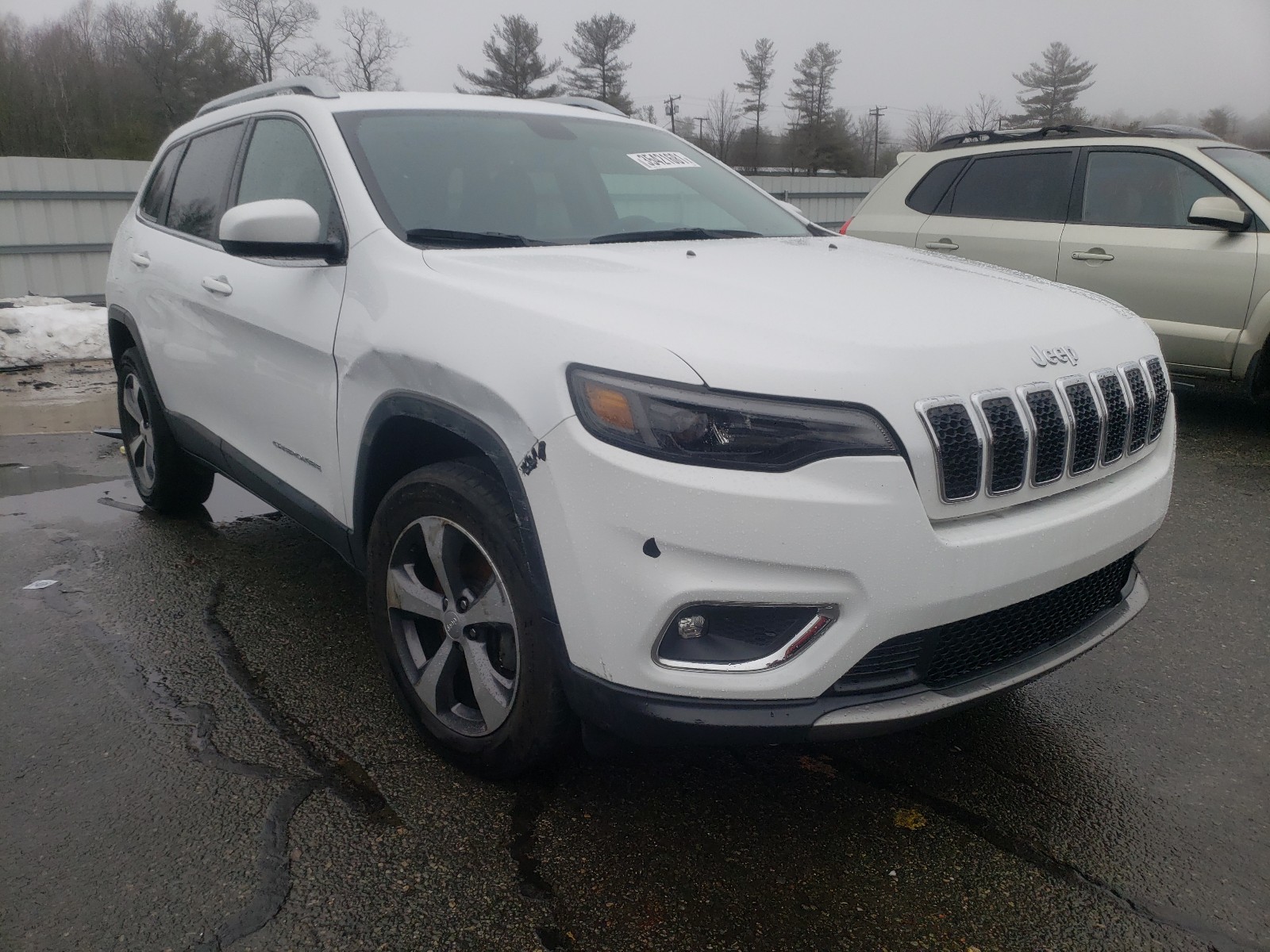 JEEP CHEROKEE L 2019 1c4pjmdx8kd423365