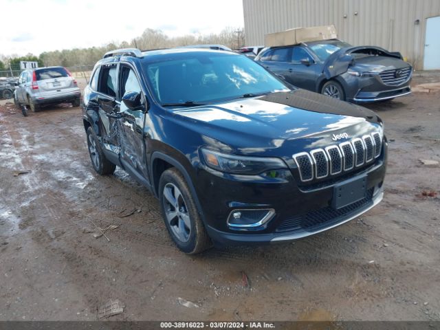 JEEP CHEROKEE 2019 1c4pjmdx8kd425682