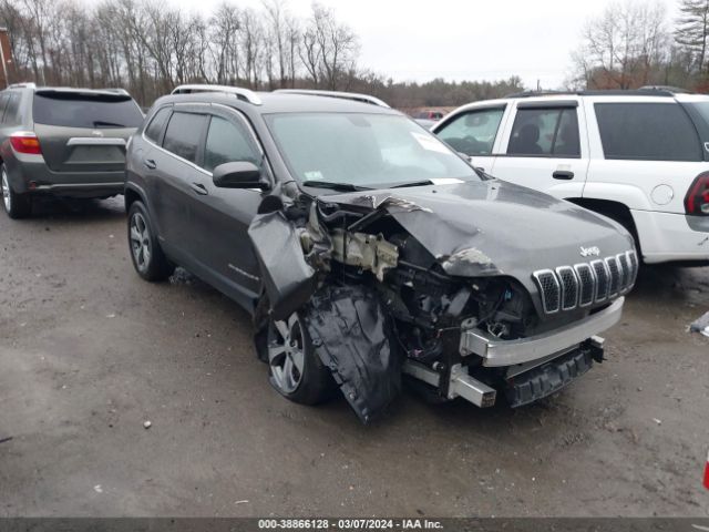 JEEP CHEROKEE 2019 1c4pjmdx8kd460237