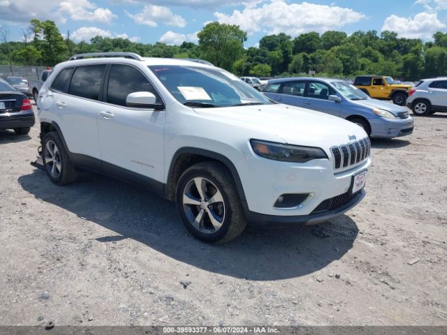 JEEP CHEROKEE 2019 1c4pjmdx8kd463283