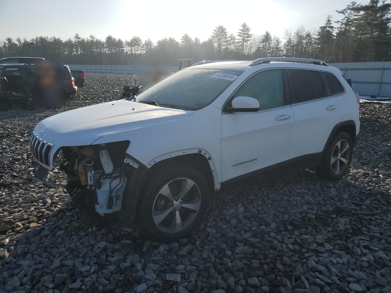 JEEP CHEROKEE 2018 1c4pjmdx9kd137203