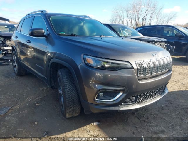 JEEP CHEROKEE 2019 1c4pjmdx9kd218007