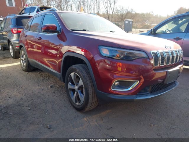 JEEP CHEROKEE 2019 1c4pjmdx9kd462255