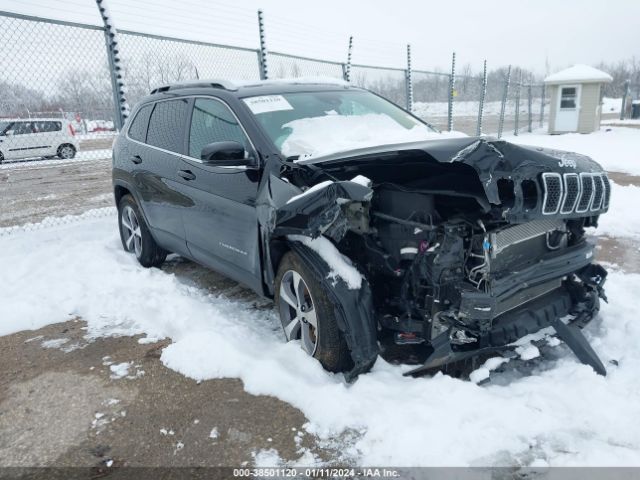 JEEP CHEROKEE 2021 1c4pjmdx9md172388