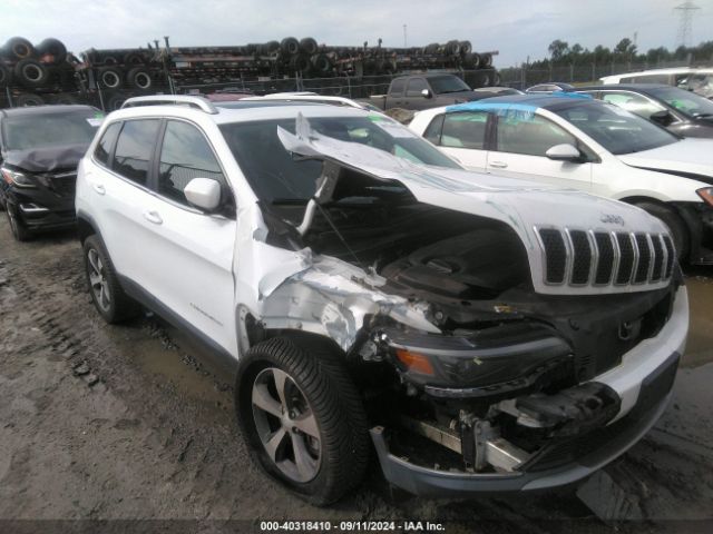 JEEP CHEROKEE 2019 1c4pjmdxxkd218825