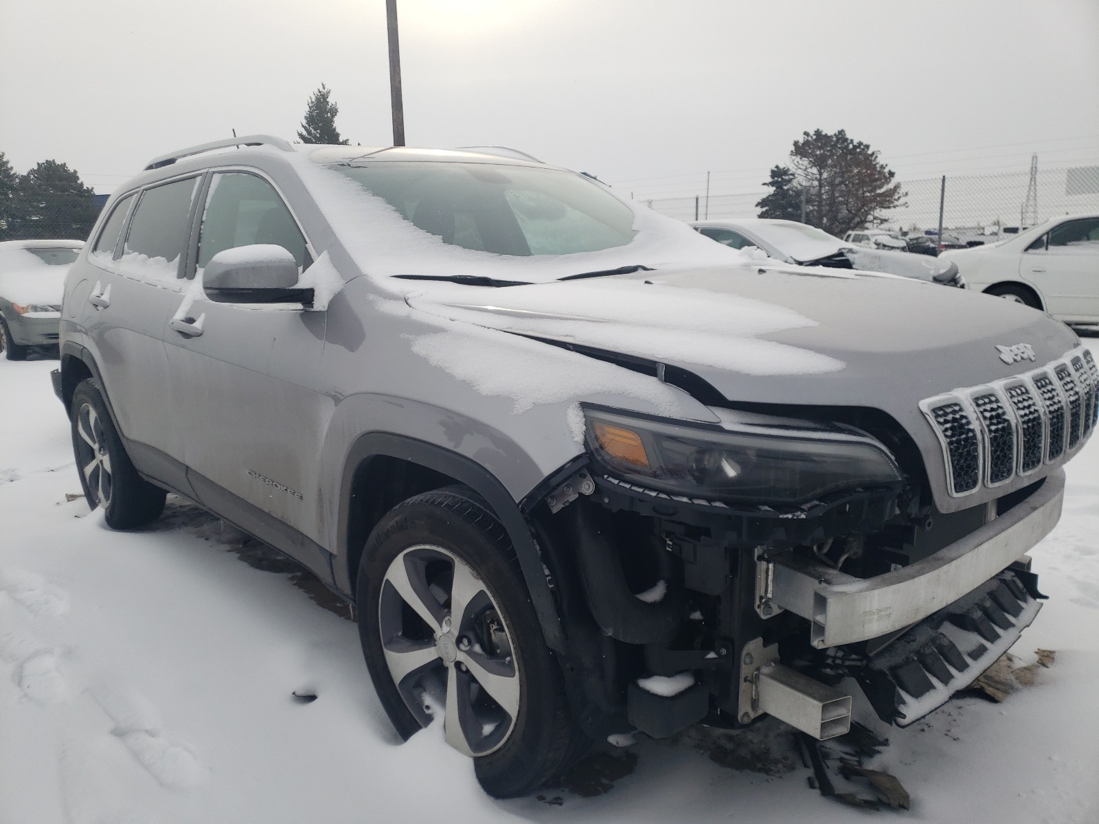 JEEP CHEROKEE L 2019 1c4pjmdxxkd303888