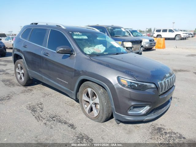 JEEP CHEROKEE 2019 1c4pjmdxxkd408091