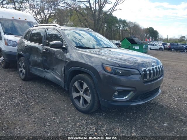 JEEP CHEROKEE 2019 1c4pjmdxxkd409824