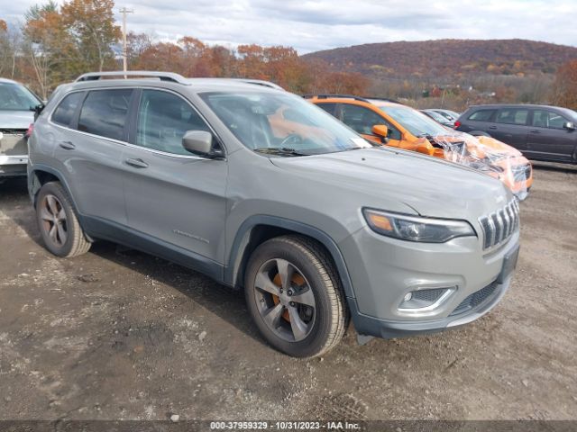 JEEP CHEROKEE 2019 1c4pjmdxxkd441687