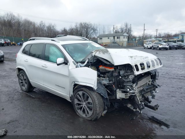 JEEP CHEROKEE 2019 1c4pjmjn2kd162950