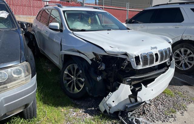 JEEP CHEROKEE 2019 1c4pjmjn2kd233337