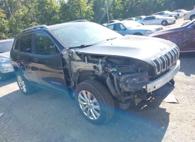 JEEP CHEROKEE 2016 1c4pjmjs6gw314682