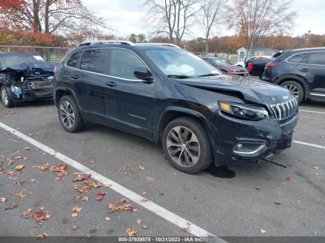 JEEP CHEROKEE 2019 1c4pjmjx3kd115847