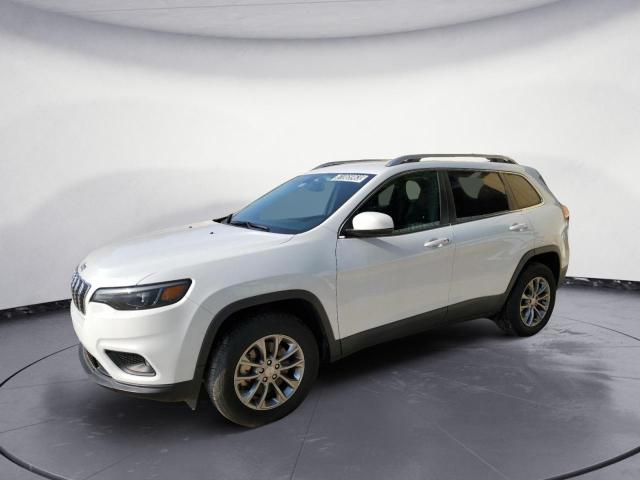 JEEP CHEROKEE L 2019 1c4pjmlb0kd423740