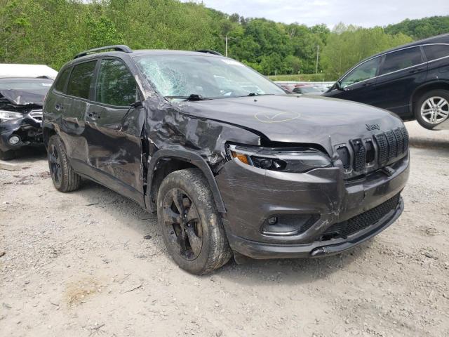 JEEP CHEROKEE 2019 1c4pjmlb0ld509793