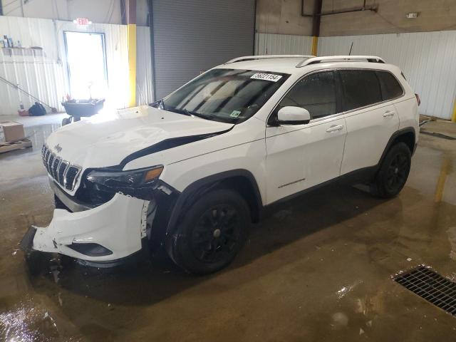 JEEP GRAND CHEROKEE 2020 1c4pjmlb0ld526139