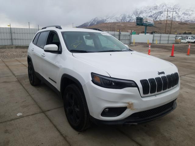 JEEP NULL 2020 1c4pjmlb0ld560212