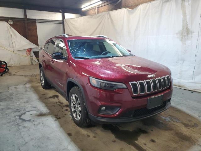 JEEP CHEROKEE L 2020 1c4pjmlb0ld602572